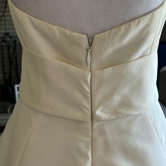 Amsale Reed Wedding Gown 10 - Picture 9 of 13